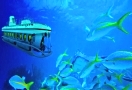 Boot Tour Saascope Submarine Coraya Bay